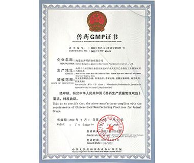 荣誉证书